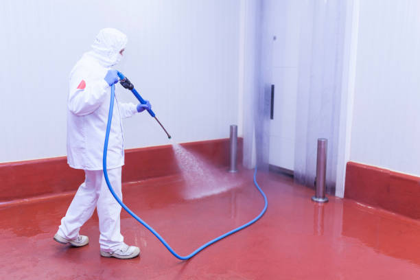 Best Dumpster Area Cleaning  in Oriska, NY